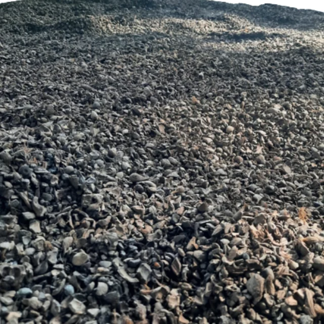 Palm Shell Charcoal From Indonesia/Envico Bright Indonesia