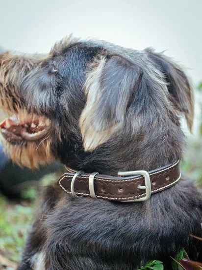 Deluxe Rancher Dog Collar - 32mm - Dark Brown