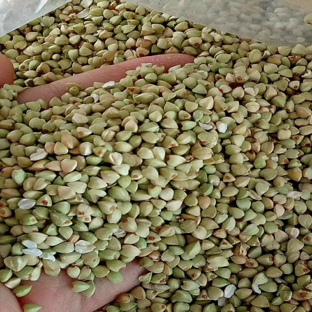Direct Wholesale Groats Organic Natural Grain Hulled Raw Buckwheat Kernel