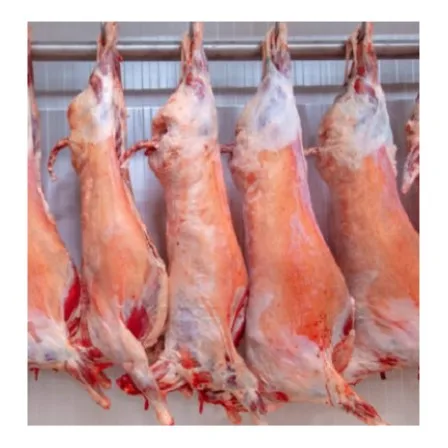 Fresh Frozen Lamb Carcass Halal Certified Hot Sale Muton Meat at Best Wholesale Price