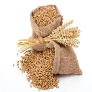 50kg bag Packing Wheat grains