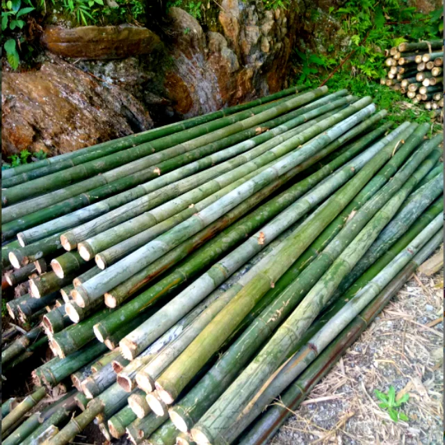 Высококачественный деревянный шест из необработанного бамбука/бамбуковые стержни из натурального волокна