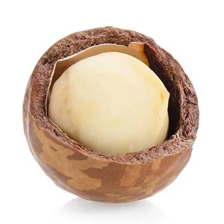 100% QUALITY GUARANTEE Macadamia Nuts, Roasted Macadamia, Organic Macadamia Nuts USA Gold Data