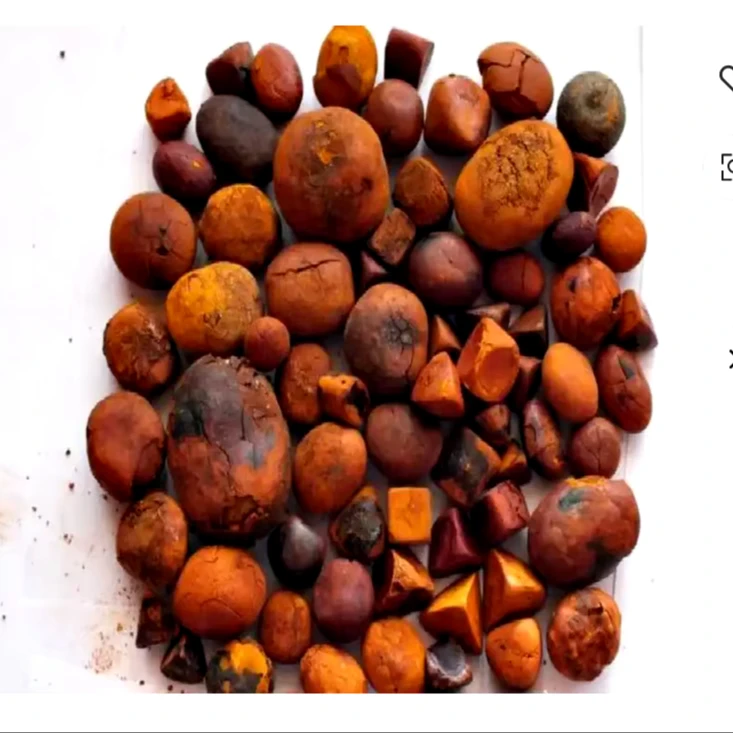 Quality Ox Gallstones Cattle Gallstones Cow Gallstones Buy Cow Gall Stones for sale good price