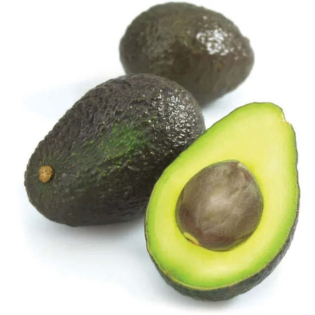 Fresh Hass Avocado from West Africa Non-GMO Variety