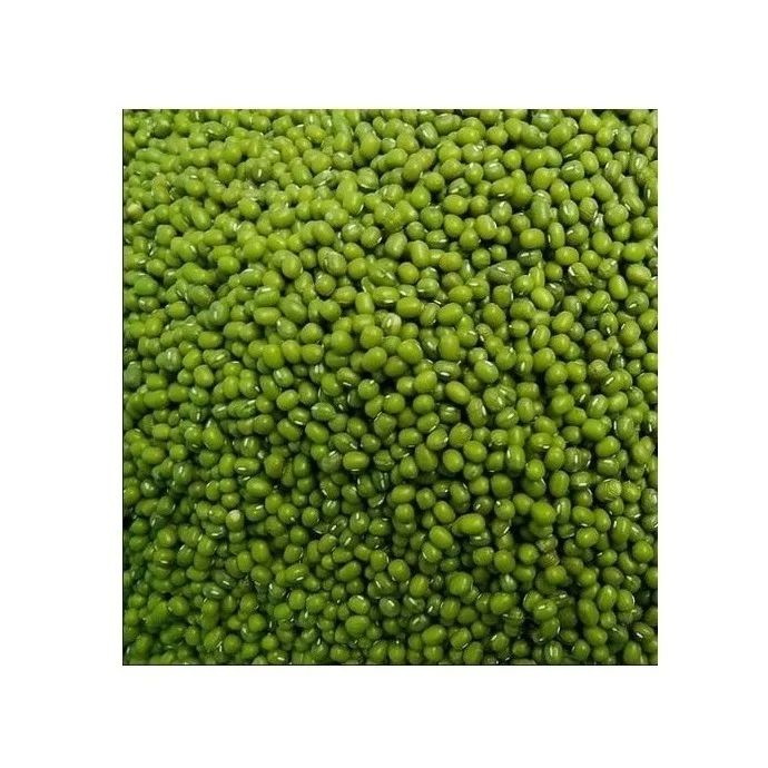 Factory Supply Bulk Wholesale Price Top Quality Green Mung Beans / Whole Moong Beans Available For Sale