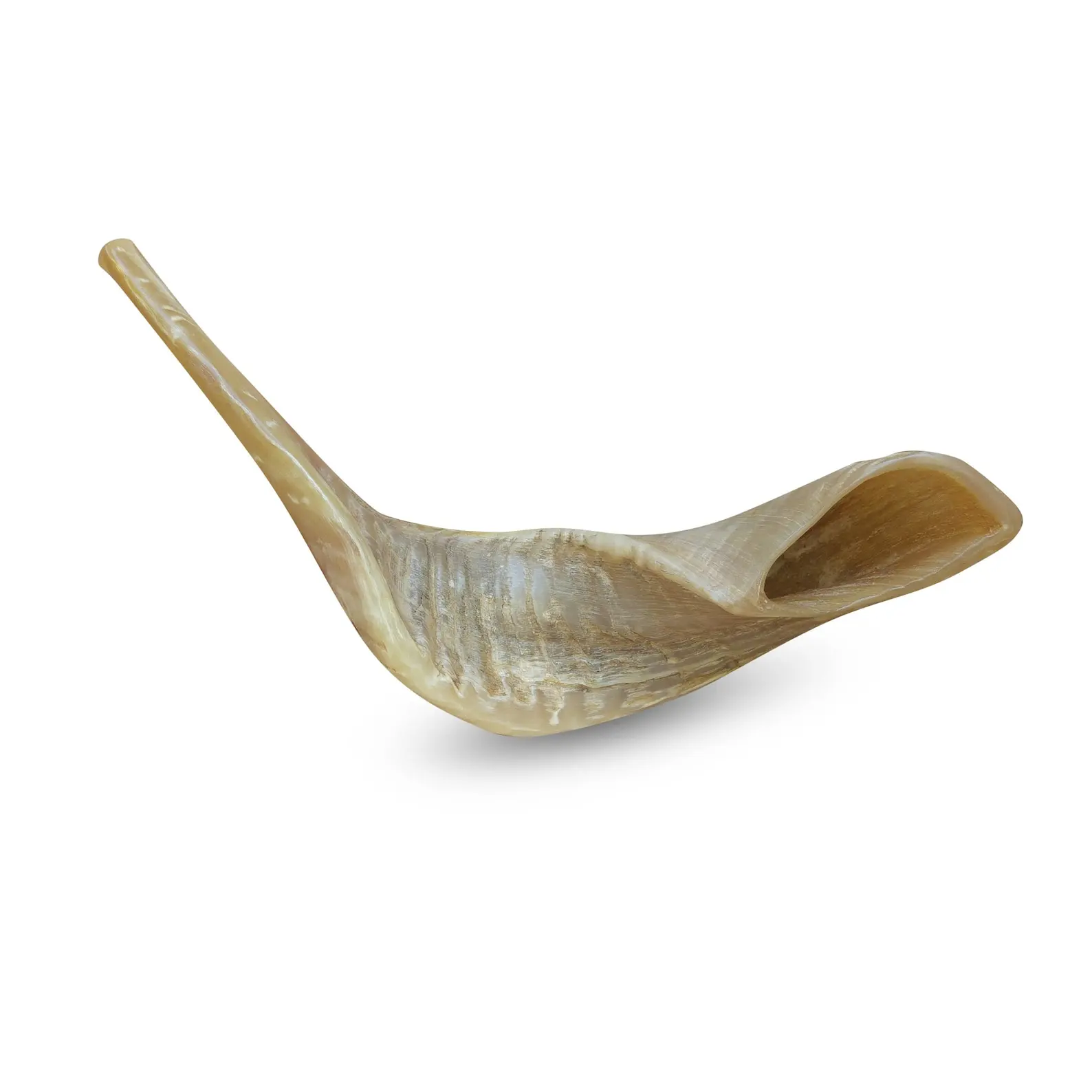 Natural Sheep Horn Shofar Full Finish For Home Decoration Handicraft Sheep Horn Shofar 2021 Latest Sheep Horn Shofar