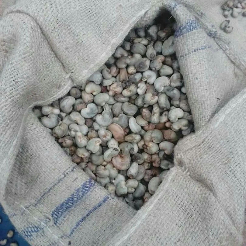 Vietnam Cashew Nuts White Cashew Kernel 100% Organic High Standard Made From Vietnam Best Price For Sale