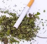 Bulk Green rolling herbs Healthier Choice Real Herbal Blends Tea Leaf Real herbal Leaf Mullein Go for Green Herbal Leaf blends