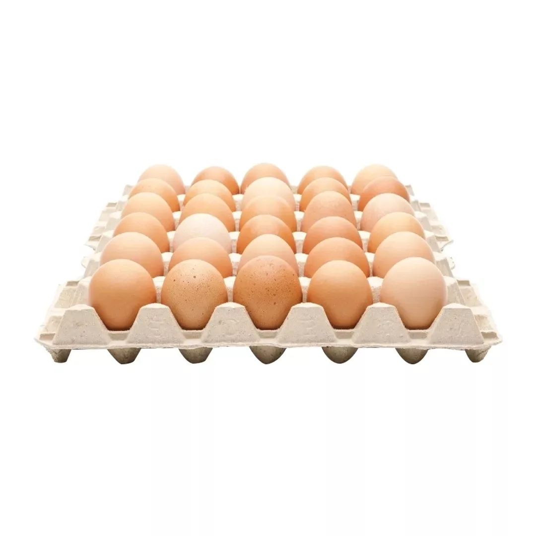 Wholesale  | Fresh Brown | chicken prices | egg shell | chicks animal products | chicken eggs | Best Quality Farm Fresh.