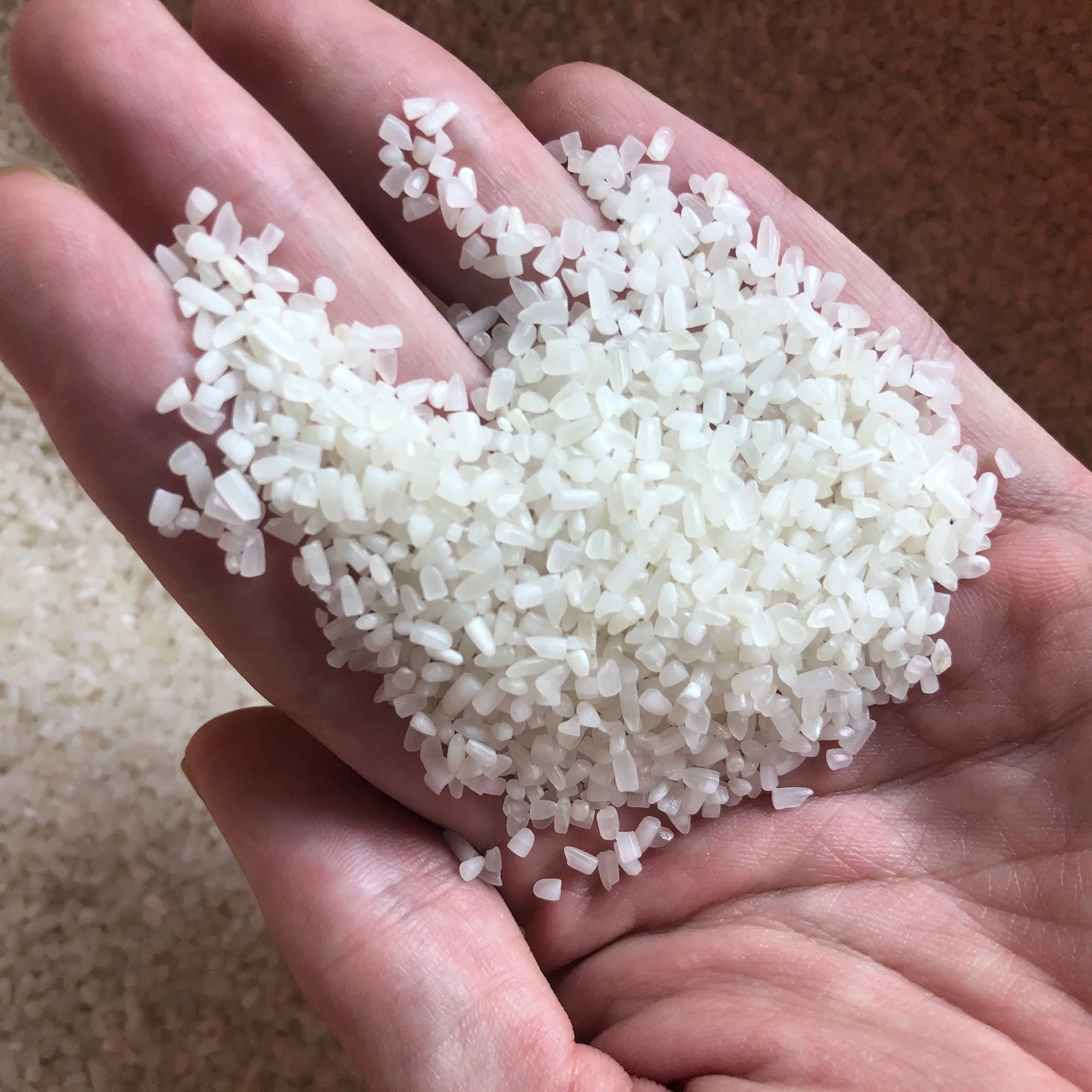 VIET NAM 100% BROKEN RICE 50KG/25KG/BAG OEM