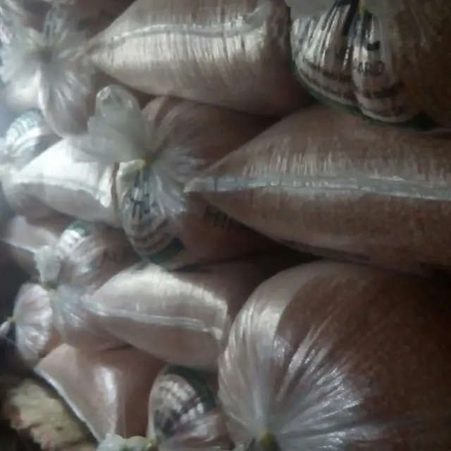 Wholesale Dried Red Corn Available at good prices Buy Dried Corn for Pop Corn Beer Making at cheap prices Buy