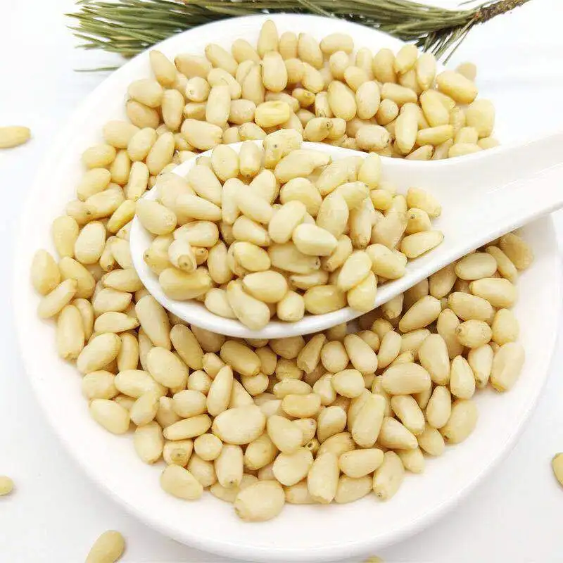 100% Pure Natural Raw Pine Nuts Mongolia Sell Wild Pine Nut Kernels