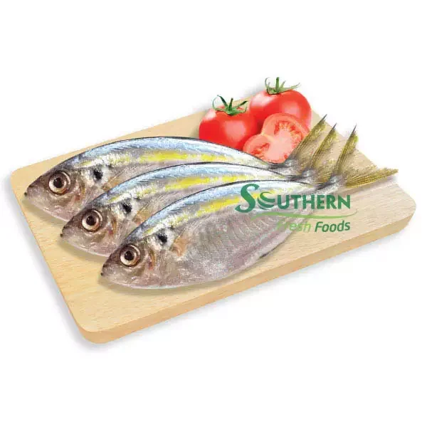 export nature fish seafood Packaging standard Frozen Yellow Stripe Trevally Sea Fish Wild Caught SFF from Vietnam