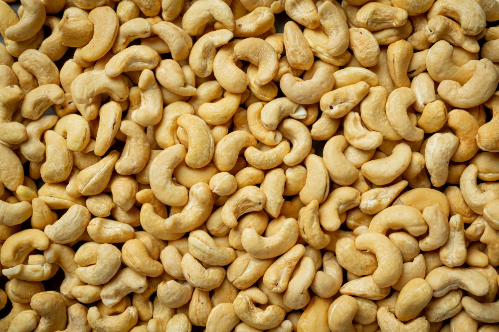 Bulk Purchase 100% Pure Cashew Nuts Dry Fruit Quality Assured Raw Cashew Nuts Kernal / Indian Kaju Exporter In India