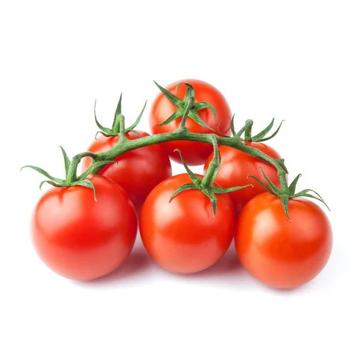 Fresh Tomatoes For Sale   FRESH TOMATOES from Philippines  Organic Fresh Tomatoes Wholesale Price (10000009462237)