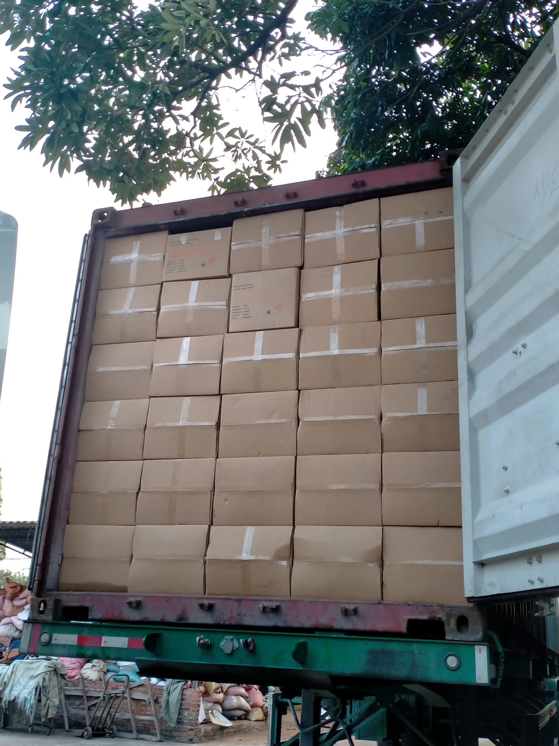 Dried Cassia splits Spices & Herbs Product 100% Natural from Vietnam 2022 (+84 393 411 961)