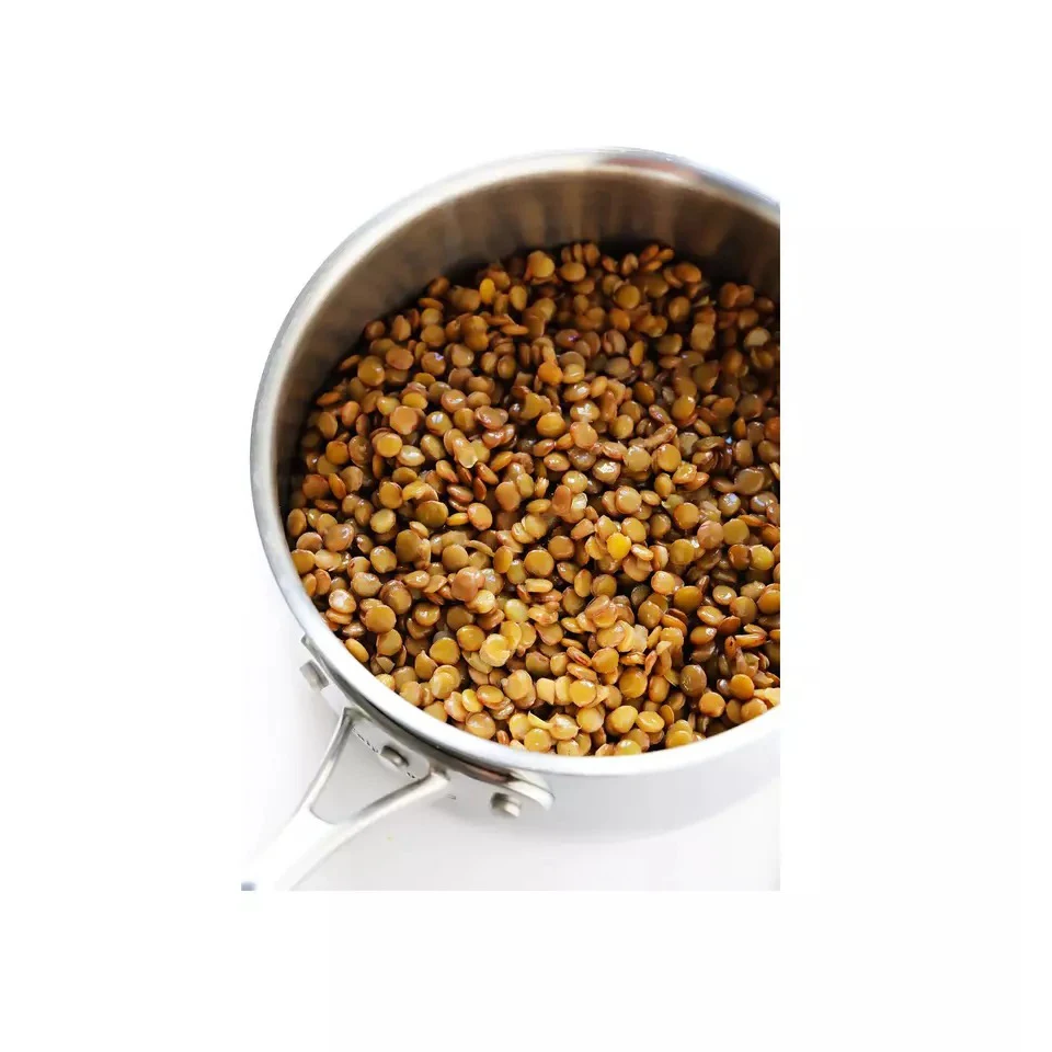Premium Quality Wholesale Lentils For Sale In Cheap Price