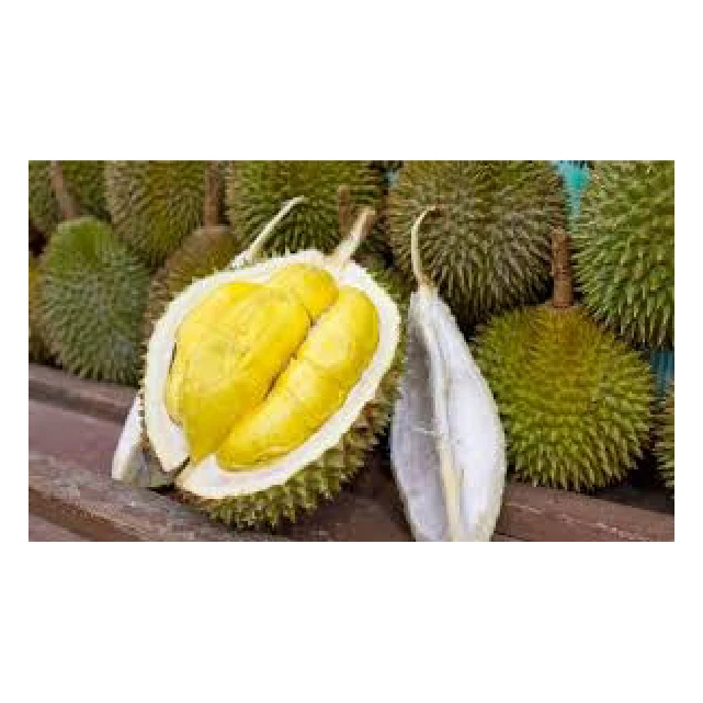 Свежий органический дуриан из вьетнамской воды консервированный и сублимированный BQF & IQF технологическая вакуумная упаковка оптом