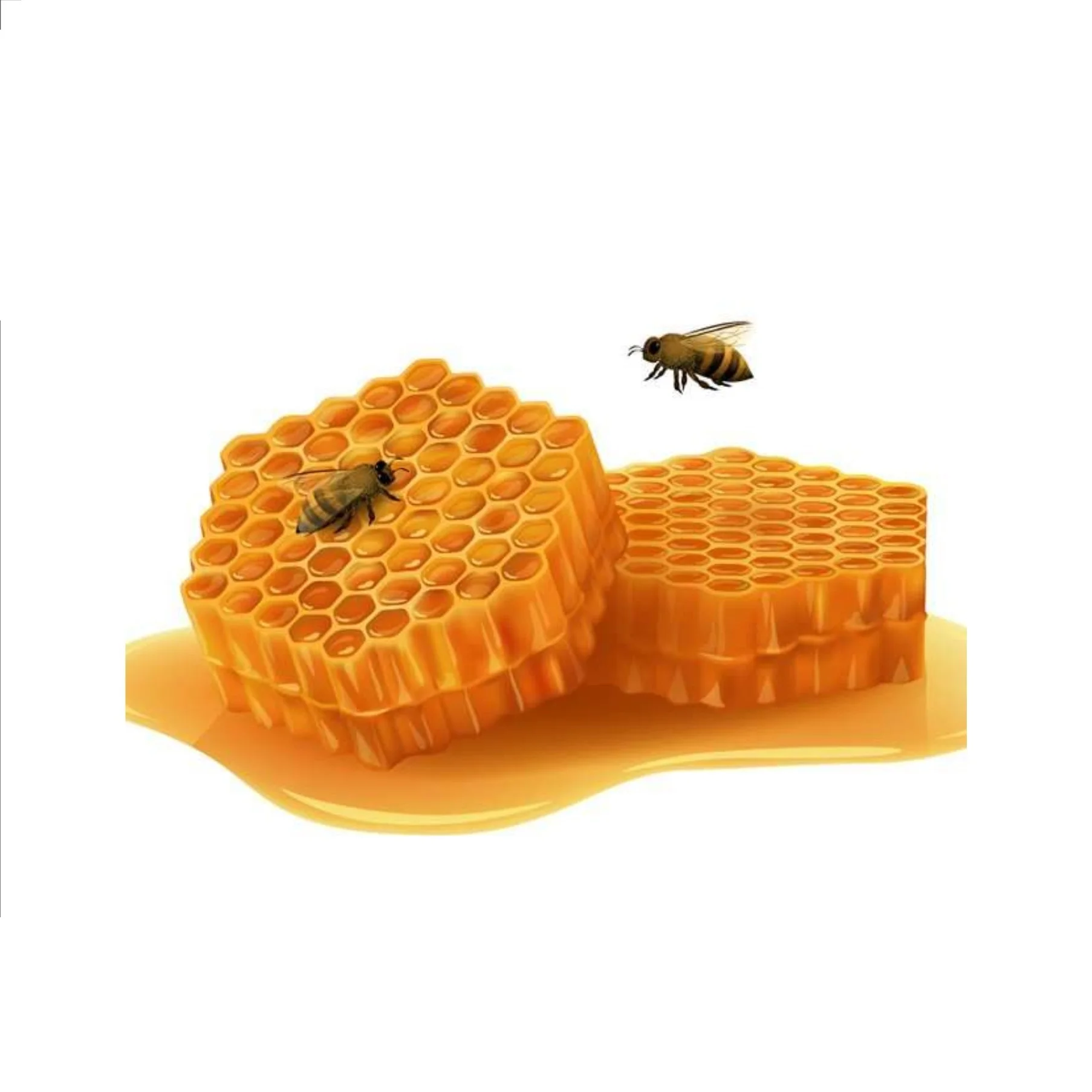 Natural Honey Sale with 125 gram Hexa Pet Jar Packing with Buyers Brand  product of exceptional quality