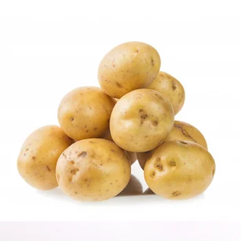 СВЕЖИЙ КАЧЕСТВЕННЫЙ ирландский Алмазный картофель для оптовой продажи