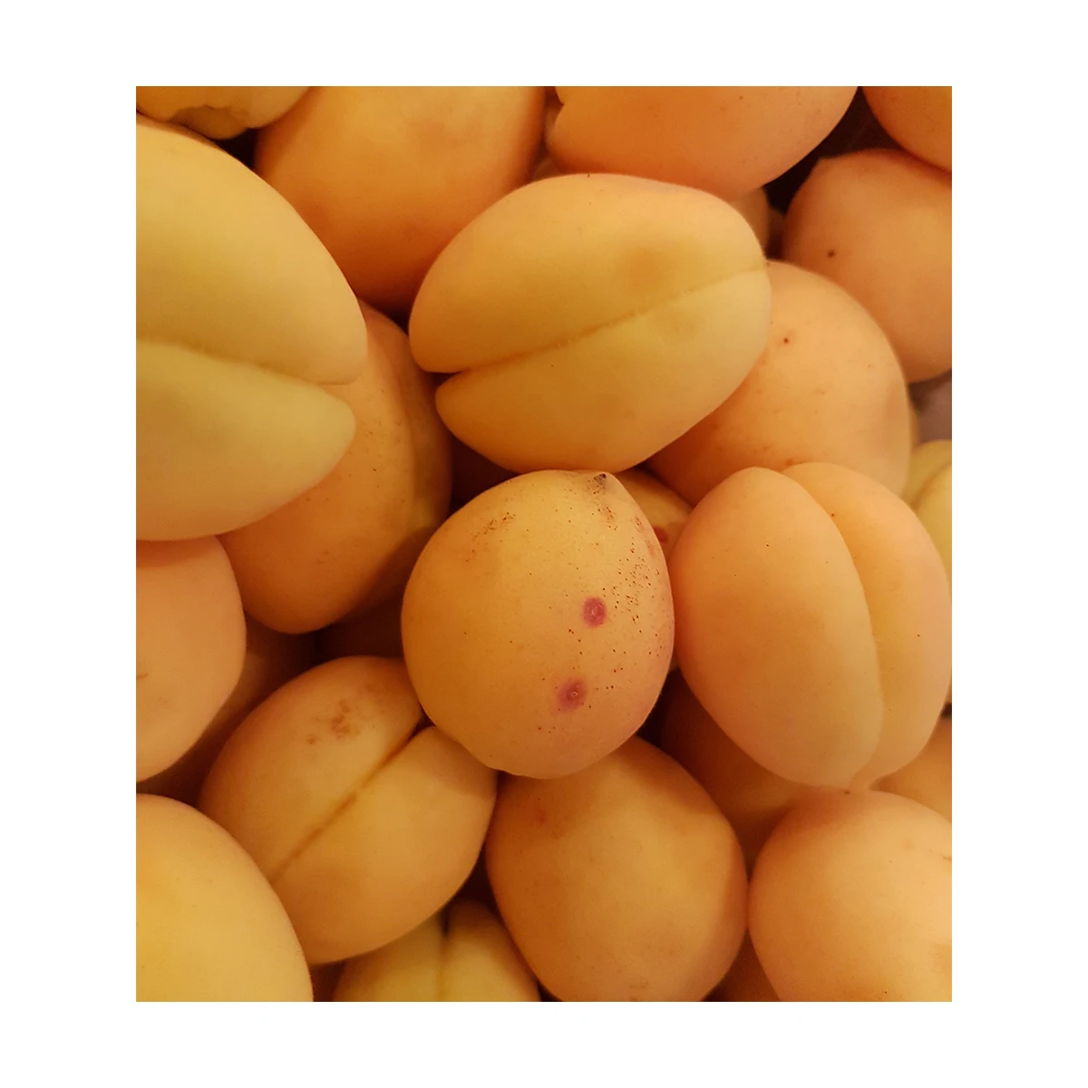 Высококачественные свежие фрукты 5 кг в картонной коробке, натуральные фрукты из Узбекистана, свежие сладкие абрикосы для пищевых продуктов