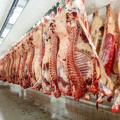 Оптовые поставки мяса буйвола без костей/замороженной говядины коровы и козьего доступны
