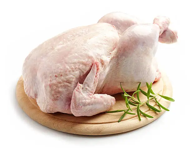 Canada Best Halal Whole Frozen Chicken For Export / Chicken breast , Chicken Legs, Chicken Drumstick