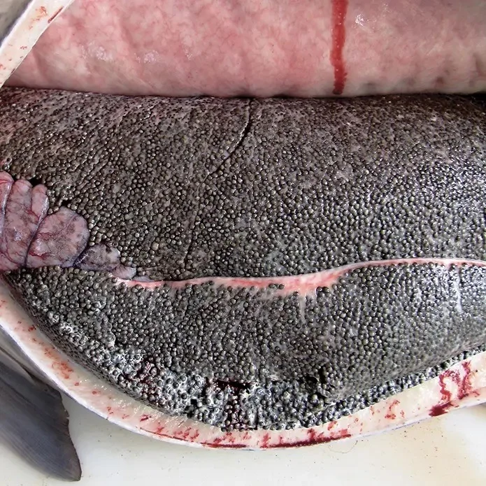 High-end Black Caviar