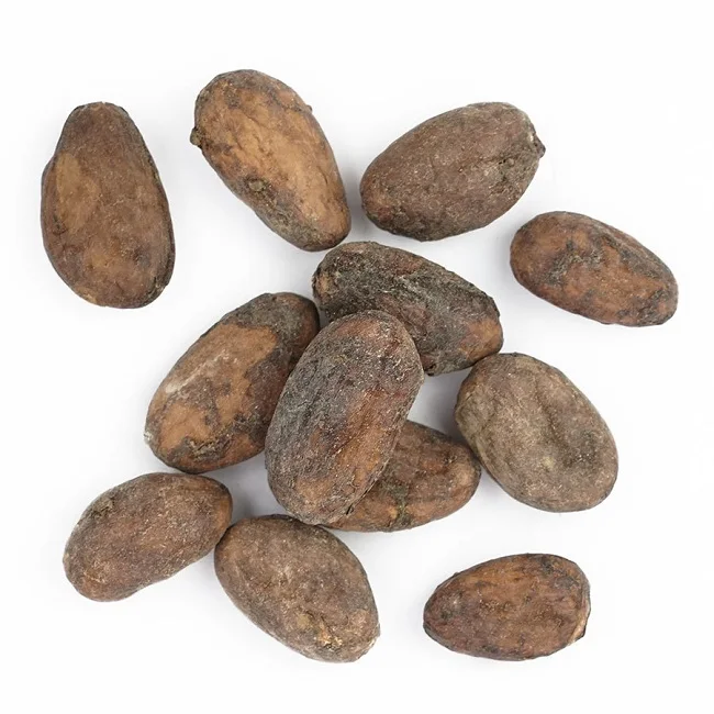 High quality pure Cocoa beans extract powder Cocoa Beans Ariba Cacao Beans