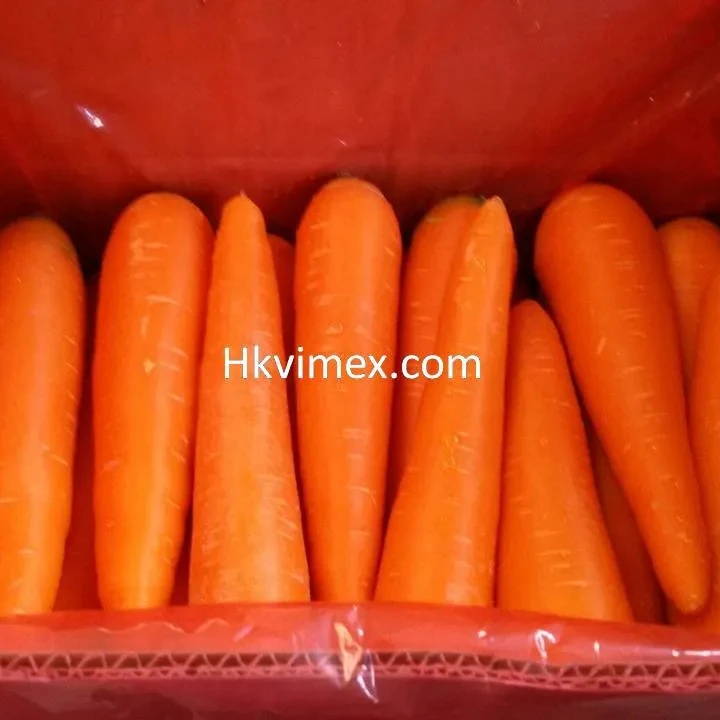 Viet Nam Fresh Organic Presh Carrot Good Price With Delicious High Quality Export From Vietnam