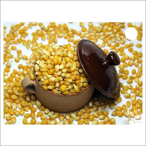 Hot Sale Dried Broken Maize Grits From Trusted Supplier ken Yellow Maize/Corn, Non-GMO, Fit for Animal Feed