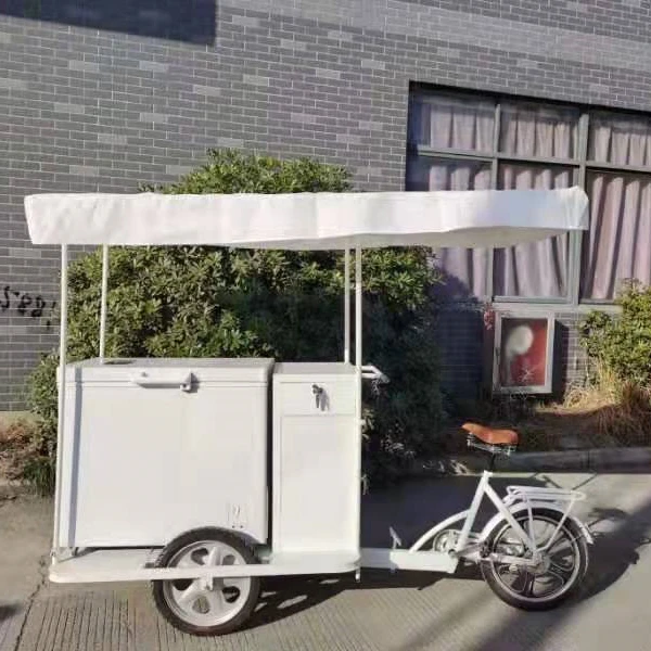 208 liters freezer with cabinet solar panel battery motorized ice cream tricycle