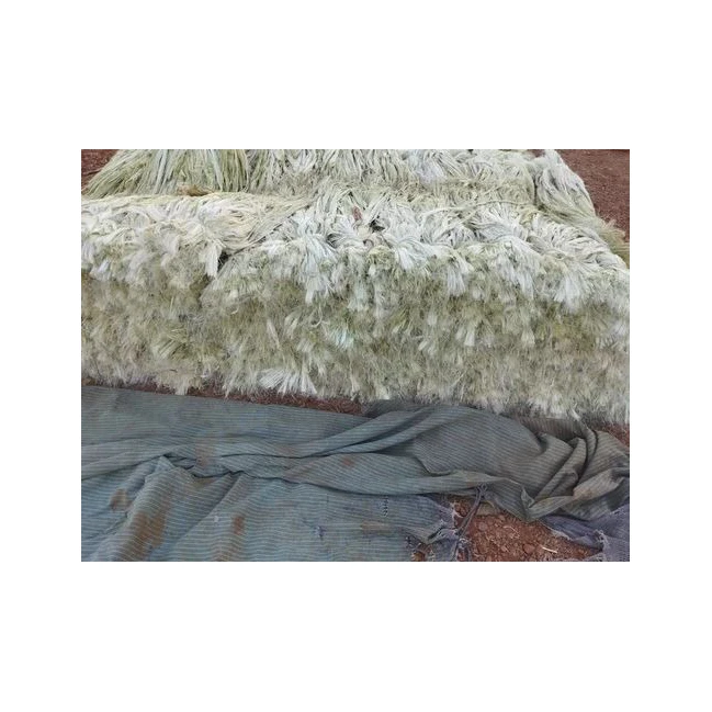 Direct Supplier 100% Top Quality Sisal Fiber / Purity 100% Natural Sisal Fiber / Sisal Fiber Best Prices
