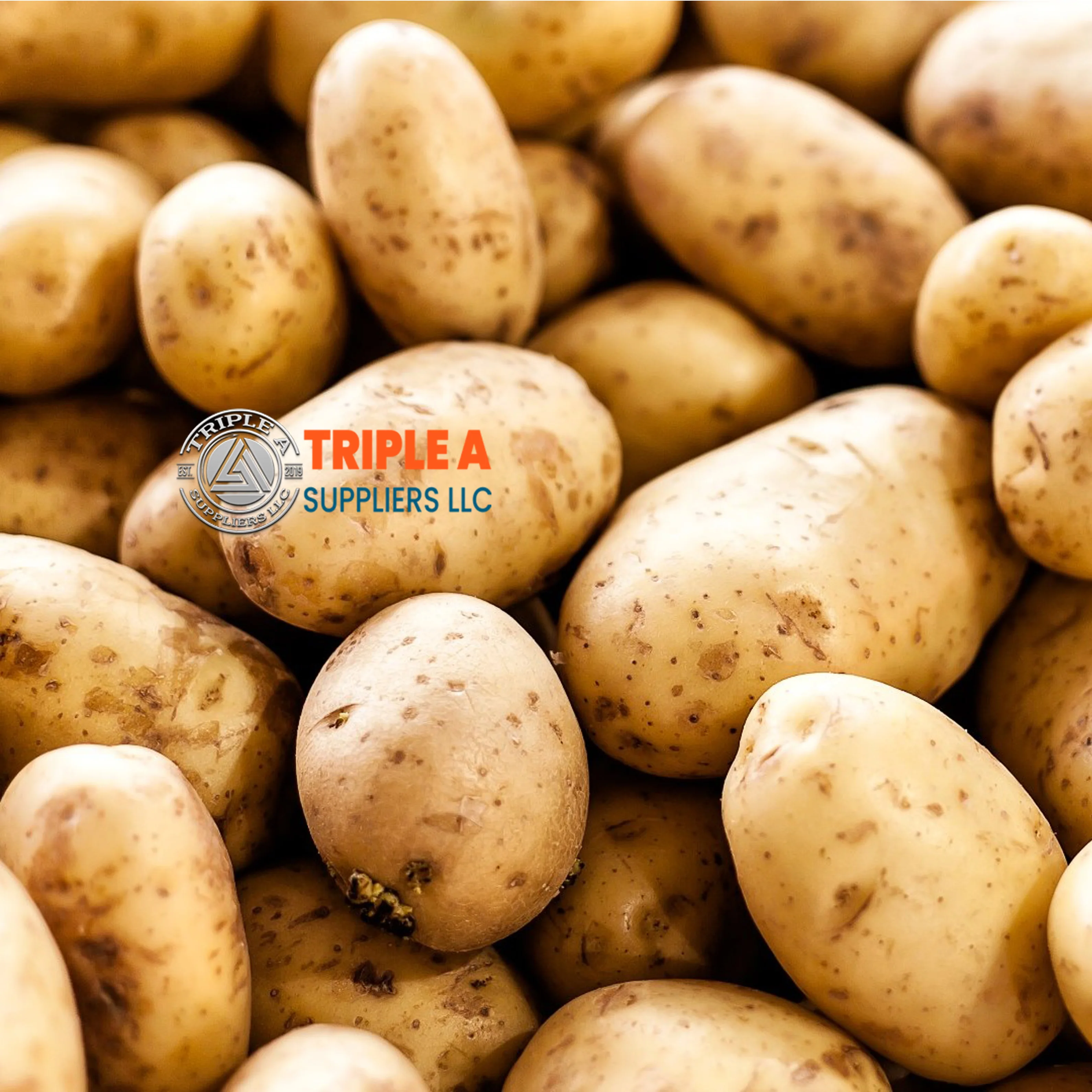 100% Cheap price professional Potato fresh sweet potatoes high quality  export for wholesalers