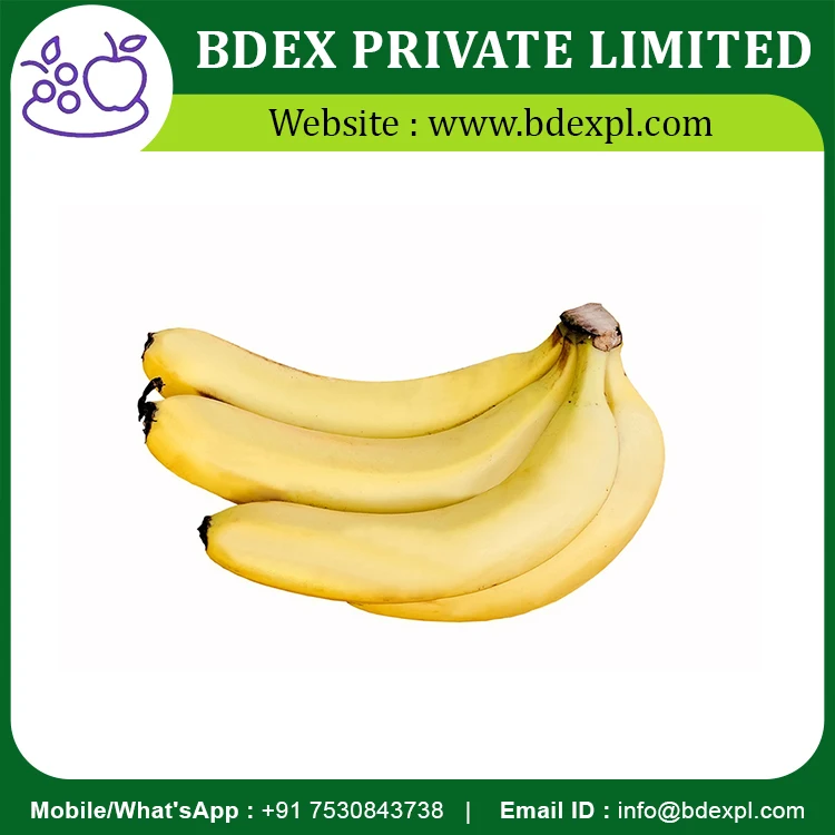 Сладкий Кавендиш банан, доступная оптовая цена