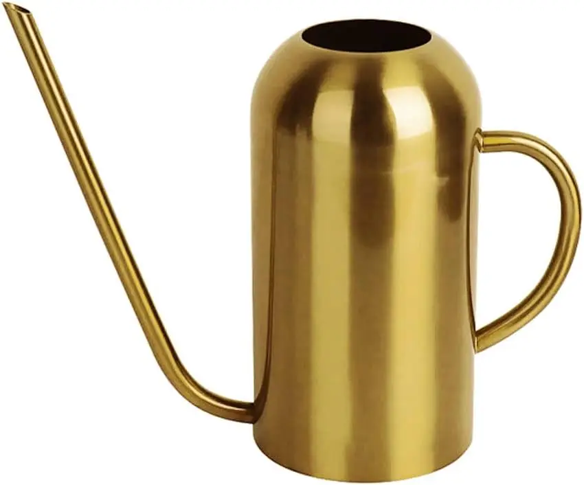 1 Gallon Dual Handle Metal Watering Can Removable Spout Indoor Outdoor Home Plants including Bonsai Modern Design Flower Pot