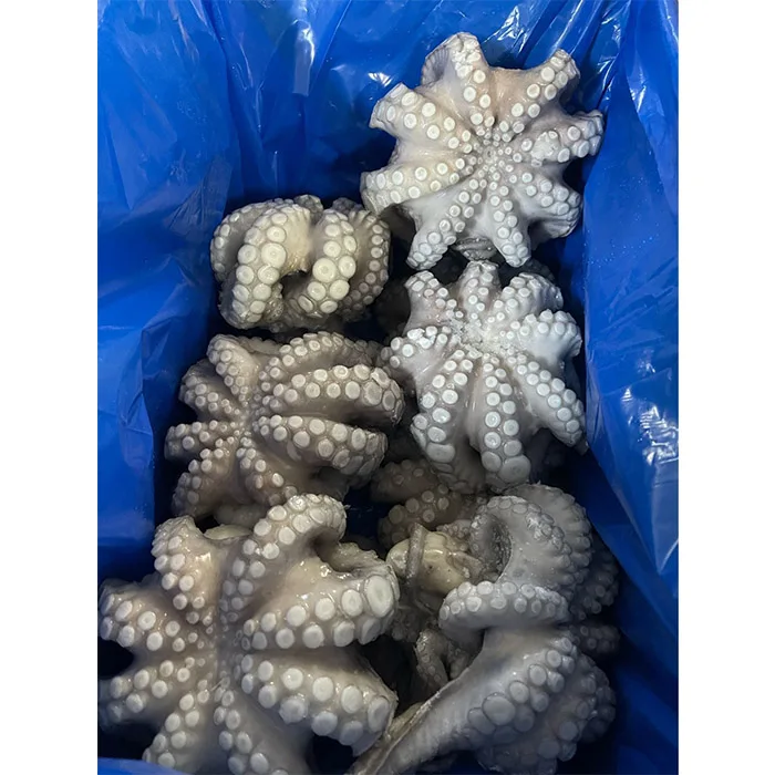 Frozen Octopus Octopus Hot Sale Attractive Price High Quality Big Frozen Octopus