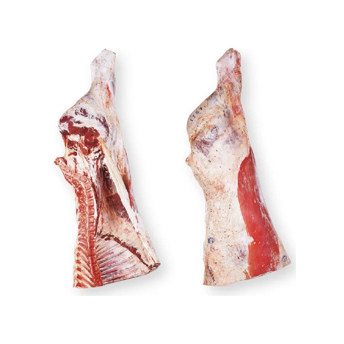 supplier grade high quality Bulk Style Buffalo Storage halal beef carcasses and fore quarter