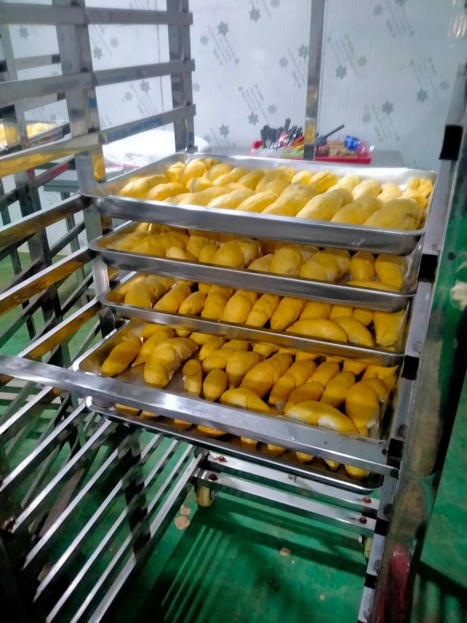 Fresh Monthong durian - frozen durian supplier made in Vietnam