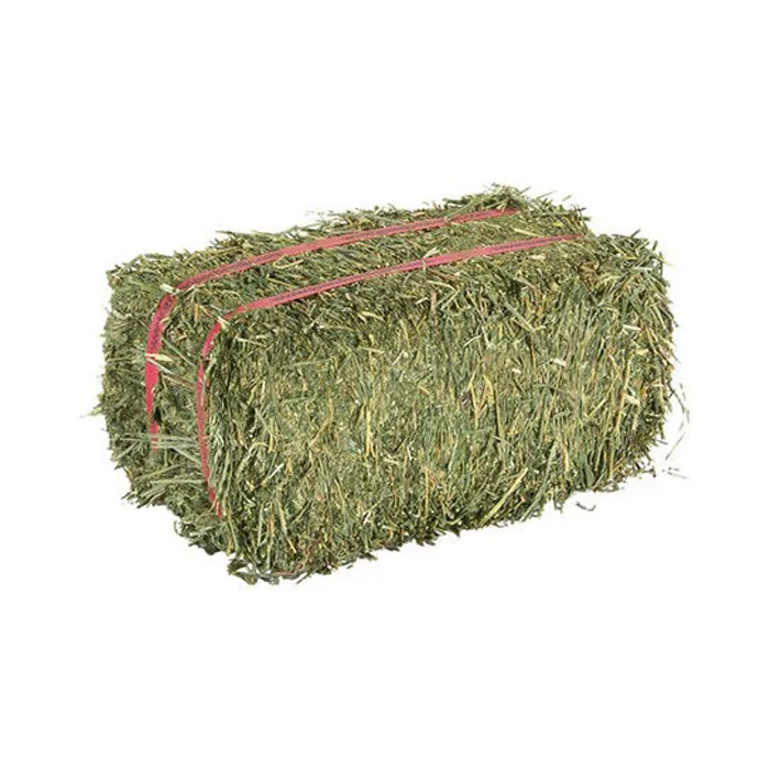 Top Quality Alfafa Hay for Animal Feeding Stuff Alfalfa / Alfalfa Hay