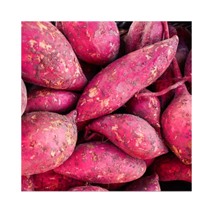 High-Quality Organic Sweet Potatoes - Fresh, Best Quality, Competitive Price, Export Ready, Wholesale, Ideal for Food