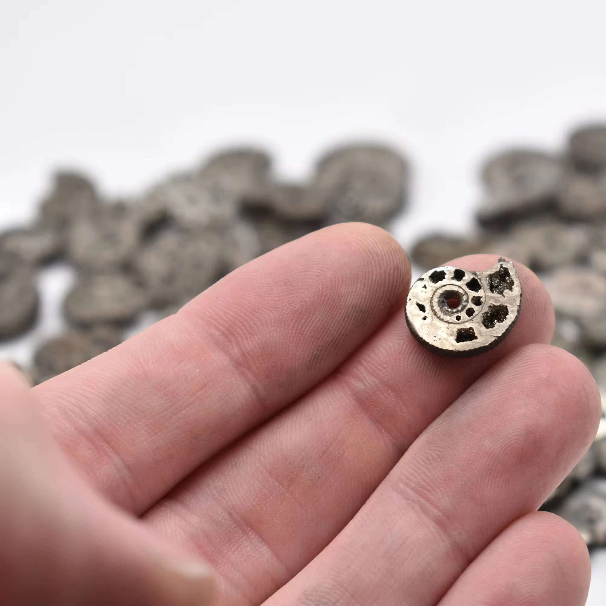 Ammonite Stone Beautiful Natural Brown Ammonite Cabochon Stone Loose Ammonite Gemstone Fossil Jasper Stone Wholesaler Supplier
