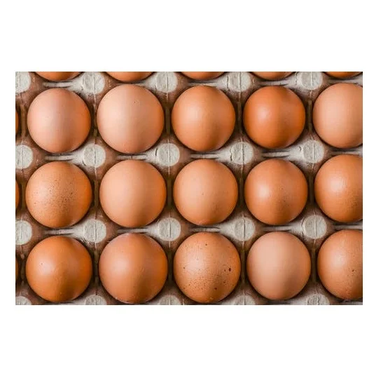100% Pure Natural Quality White / Brown Shell Fresh Table Chicken Eggs At Best Wholesale Pricing