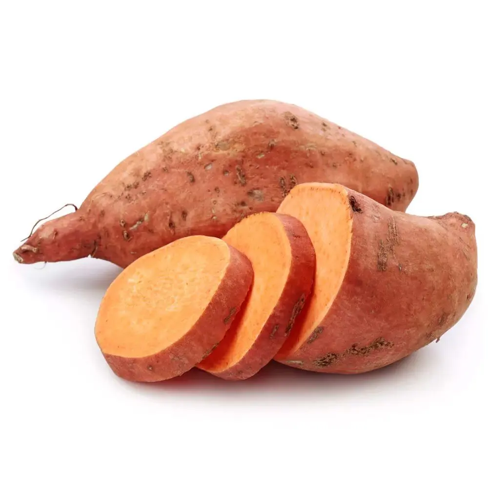 Fresh Sweet Potato Yellow And Purple Sweet Potato From austria High Quality New Crop For Sale