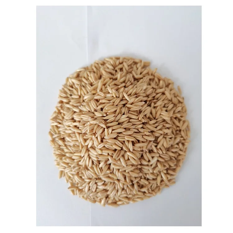 Top Quality Hulled Oats/ Oats Grains For Sale