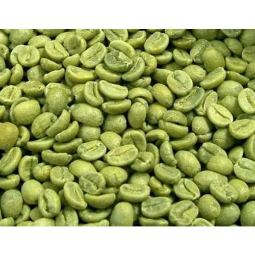 Factory Supply Green Coffee Bean Extract Powder Chlorogenic Acid Green Coffee Bean Extract