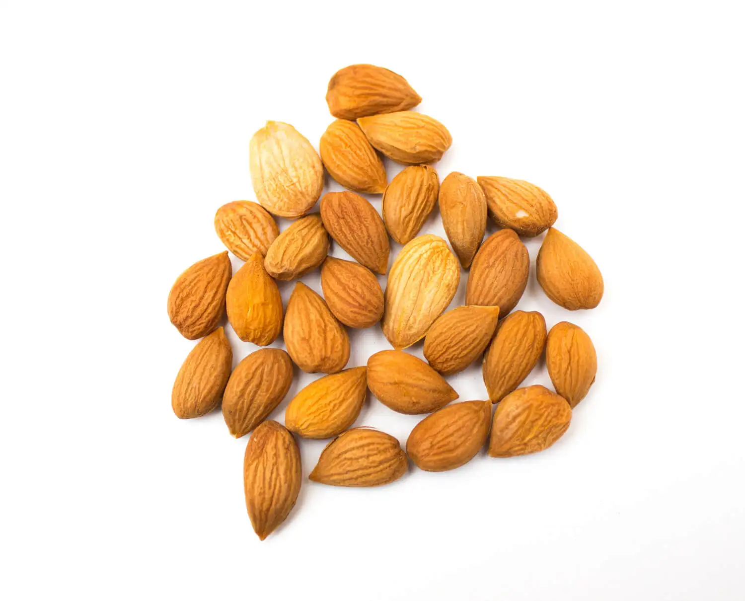 dried apricot, apricot kernels, bitter and sweet apricot kernel