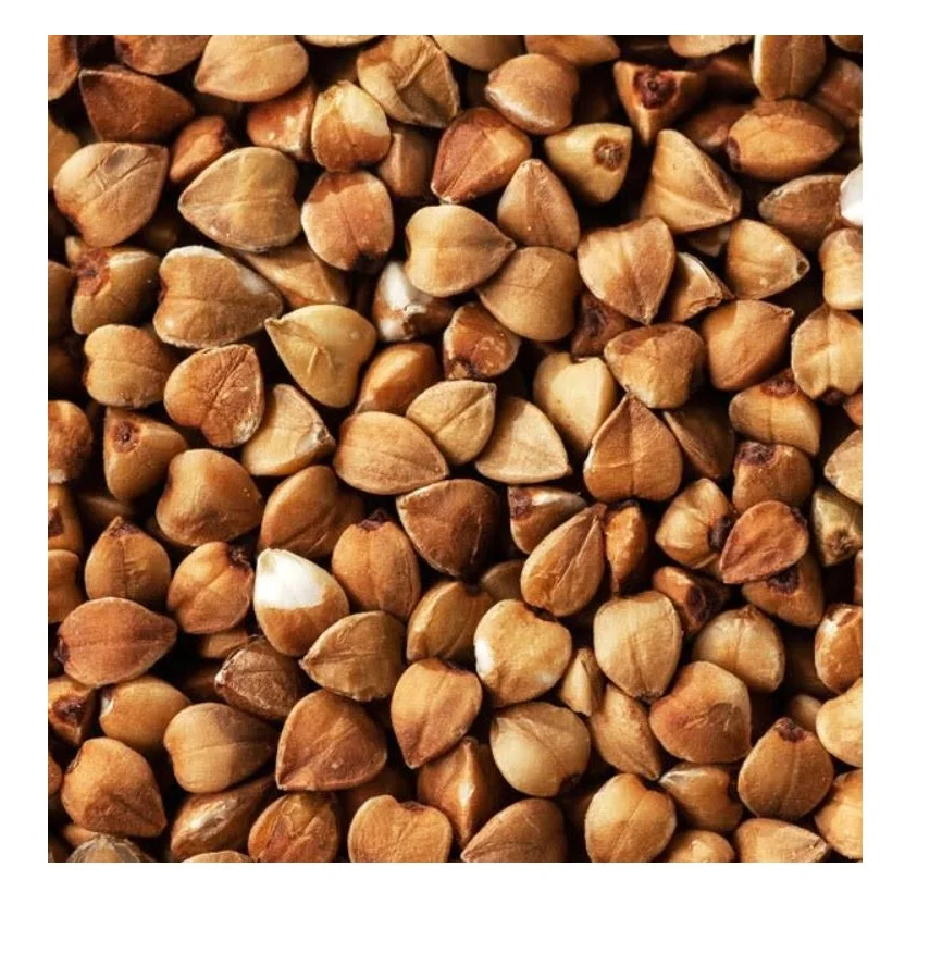 Premium Quality Highly Nutritious Wholesale Natural and Organic Agriculture Grain Buckwheat at Competitive Price