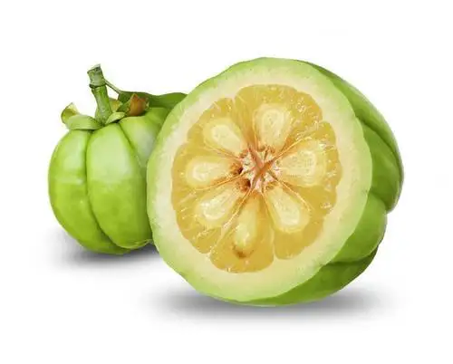 High Quality Pure Natural Garcinia Cambogia extract powder